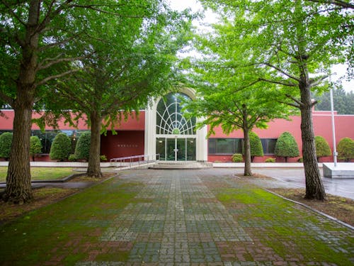 窪山さんが地域の人々と定期的にイベントを開催する熊石歴史記念館