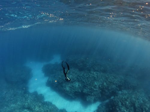 青い海の世界に深く潜る