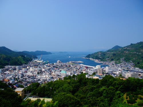 八幡浜市の市街地はコンパクトで、生活機能が徒歩圏内に集約しています