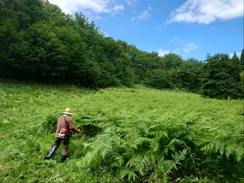 1人だと気の遠くなる作業も、仲間と一緒ならすぐに終わります!