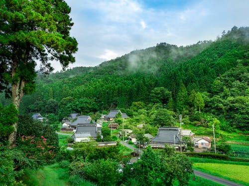 美しい里山風景とこれからの集落の課題