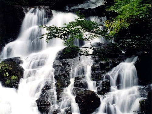 七ツ滝 総落差50mの美しい滝が流れる名勝