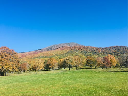 自然資源を活かして誘客を推進:ミッション2