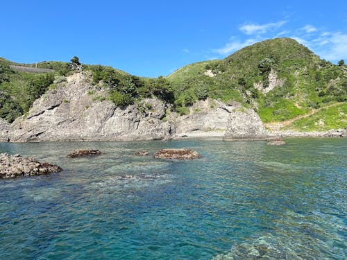 運が良ければ透明度が20mになることも!