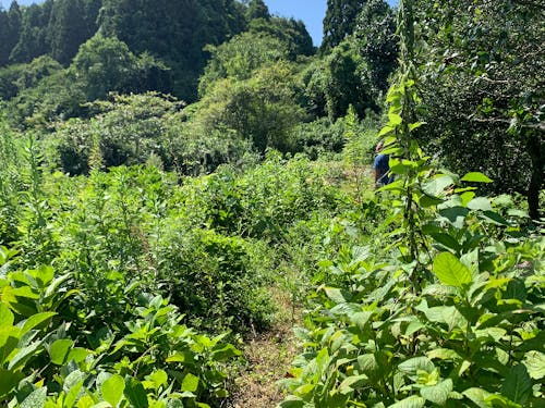 遊休農地の再生や、地元企業の再生に注力します！