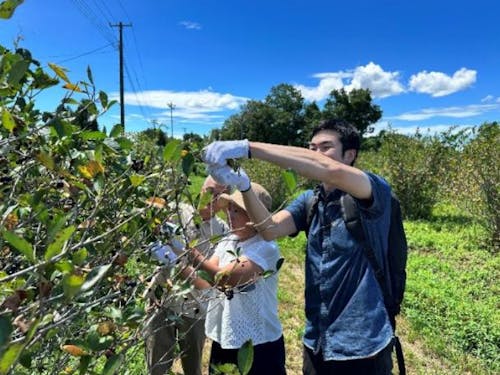 農産品を使った商品開発:ミッション4