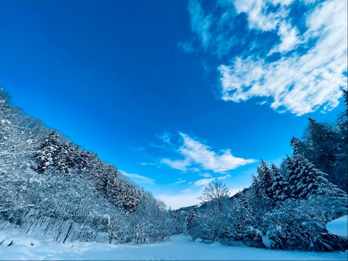 八雲町の冬景色。静かで最高です。冬が旬の軟白ねぎが甘いのはこの寒さのおかげ。