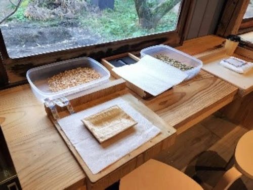 本来の木工の流れを感じてもらうワークショップ