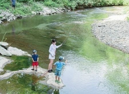 清流日本一の川で川遊び。混み合うことがなくプライベート空間で思う存分、川遊びができます。