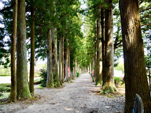 剱岳の他にも魅力がたくさんあります!