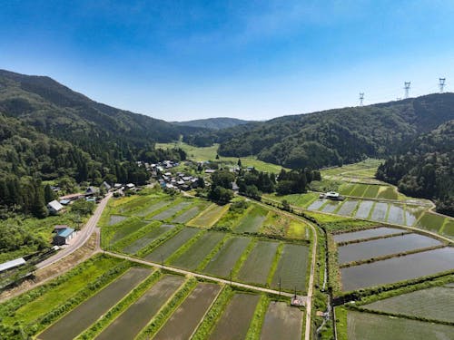 綺麗な景色が広がる棚田
