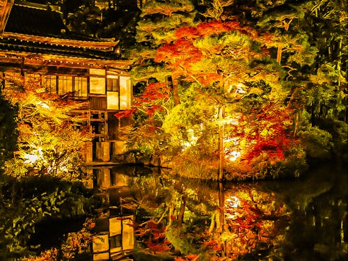 ミシュラン1つ星の神社の紅葉ライトアップ。桜も名所です