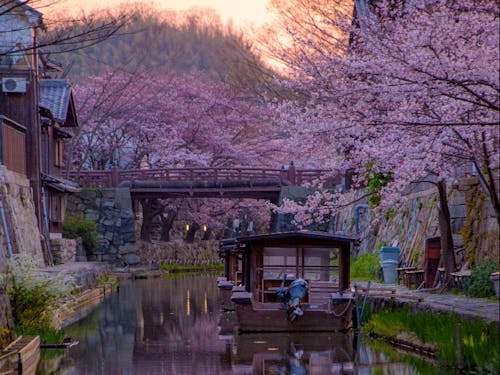夕暮れの八幡堀