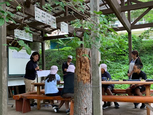 地域の小学校で‟学びの森づくり”授業も
