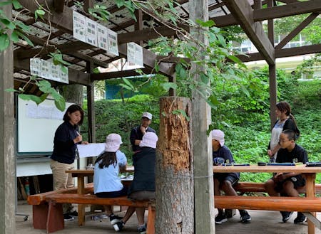 地域の小学校で‟学びの森づくり”授業も