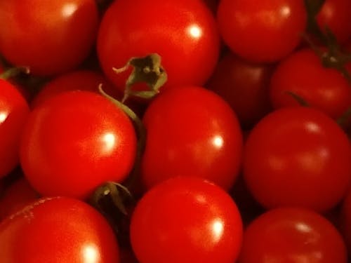 カツオはもちろん、野菜もおいしい!