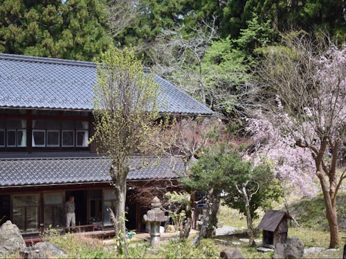 山間部桃原集落、建物を改修して、ごぼう作り活動の拠点として活用されています。