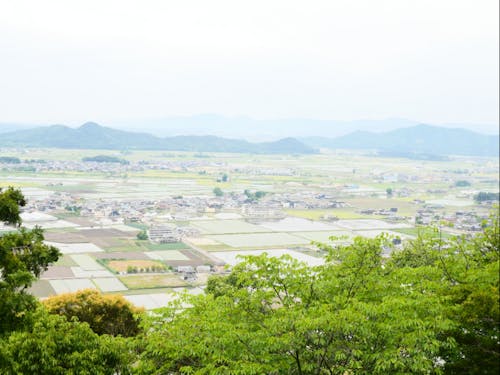 「低山」でも、美しい眺めが広がります♪