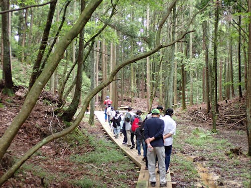 山の香りを全身で感じながらトレイル