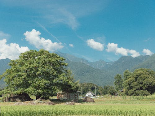 CHIME白州から臨む南アルプス