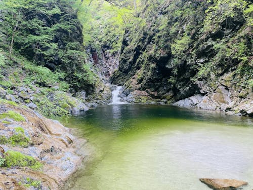 「尾白川」&「駒ヶ岳神社」散策で白州の魅力を体感