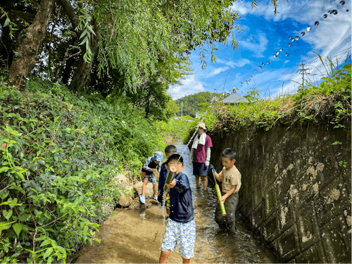 蛍も生息する綺麗な小川は子供たちの人気の遊び場です