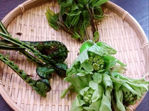 その土地で育ったものを、その場で食す