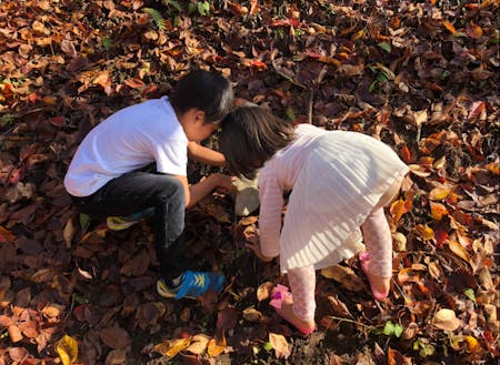 自然の不思議やわくわくと一緒