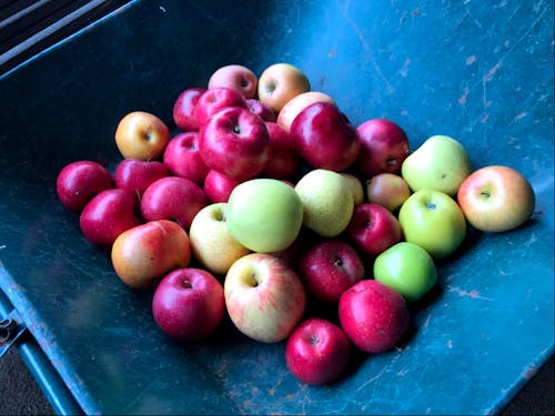 驚愕してのけぞるほど美味しいリンゴ