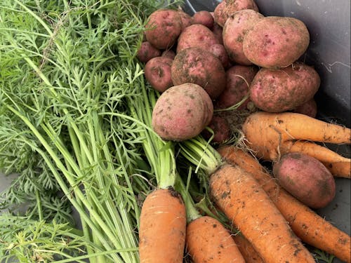 有機栽培を広めていくのも大切な役割