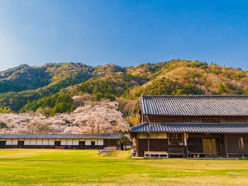 古民家を使った人気カフェなども最近増えてます