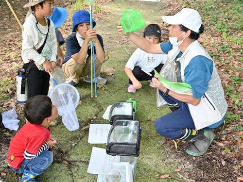 むしむし探検隊
