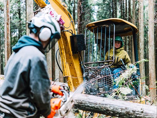 林業の現場ではチェーンソーを使用しての間伐〜重機操作も