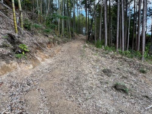 地面がむき出しの部分2