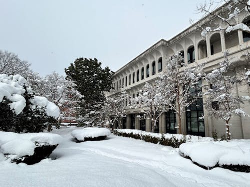 日々暑いので、冬の市役所本館の写真をご覧ください。ヒンヤリ