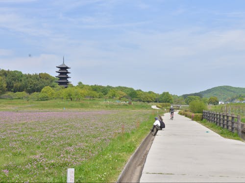 総社市(そうじゃし)