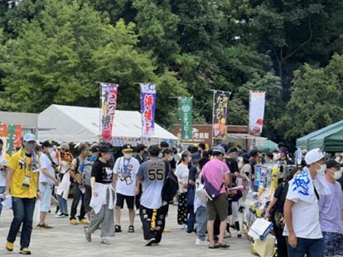 プロ野球ファーム戦「観るスポーツツーリズム」