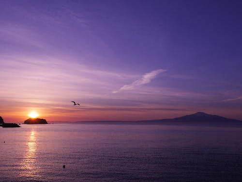 飛島から見る朝日