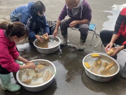 昔は手作業で芋洗い(今は機械で行います))