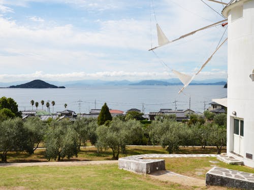 小豆島町(オリーブ公園)