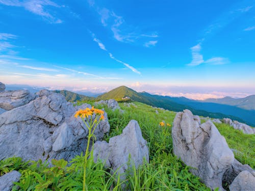 まるでスイス?!四国カルスト