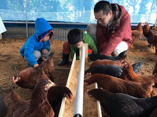 東京都より家族で移住し、田舎暮らし満喫中♪