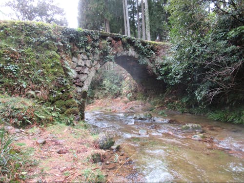 滝ヶ原の石の橋