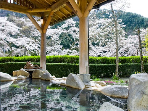 ワーケーションができる温泉施設もあります…!