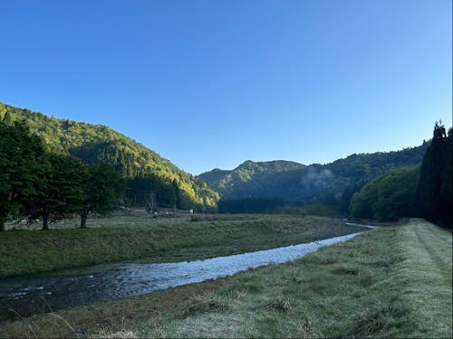 プロジェクトの舞台となる朽木の自然