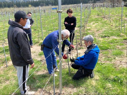 三者協定に基づく取組の例(サントリーによる栽培技術指導)