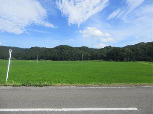 窓を開けると目の前にはこんな景色が広がります。