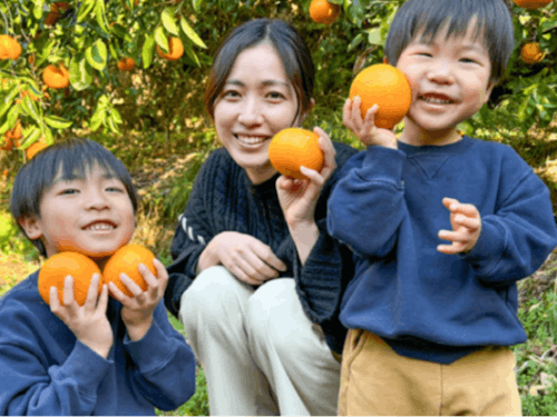 近隣の果樹園では、はっさくやみかん、伊予柑を収穫。自然と触れ合える環境は、子育てにも最適