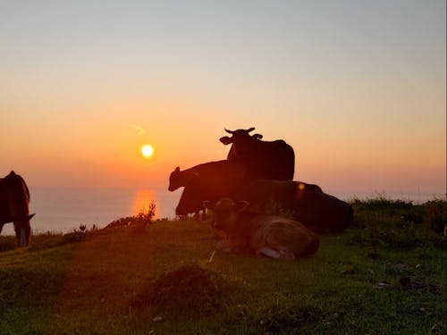 赤尾展望所の夕日