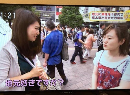 それが高じて、NHK首都圏放送で栃木ゆかりのみを紹介いただきました